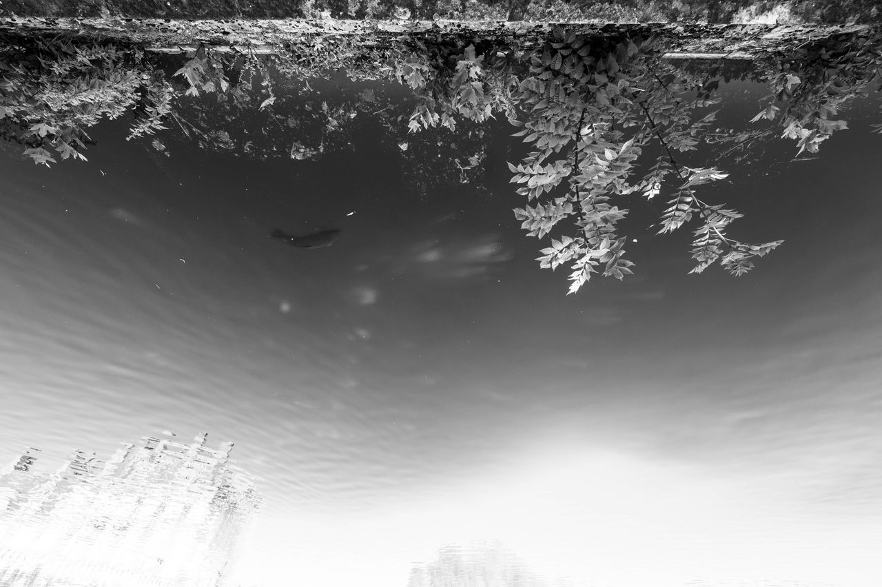 DSC1916.jpg