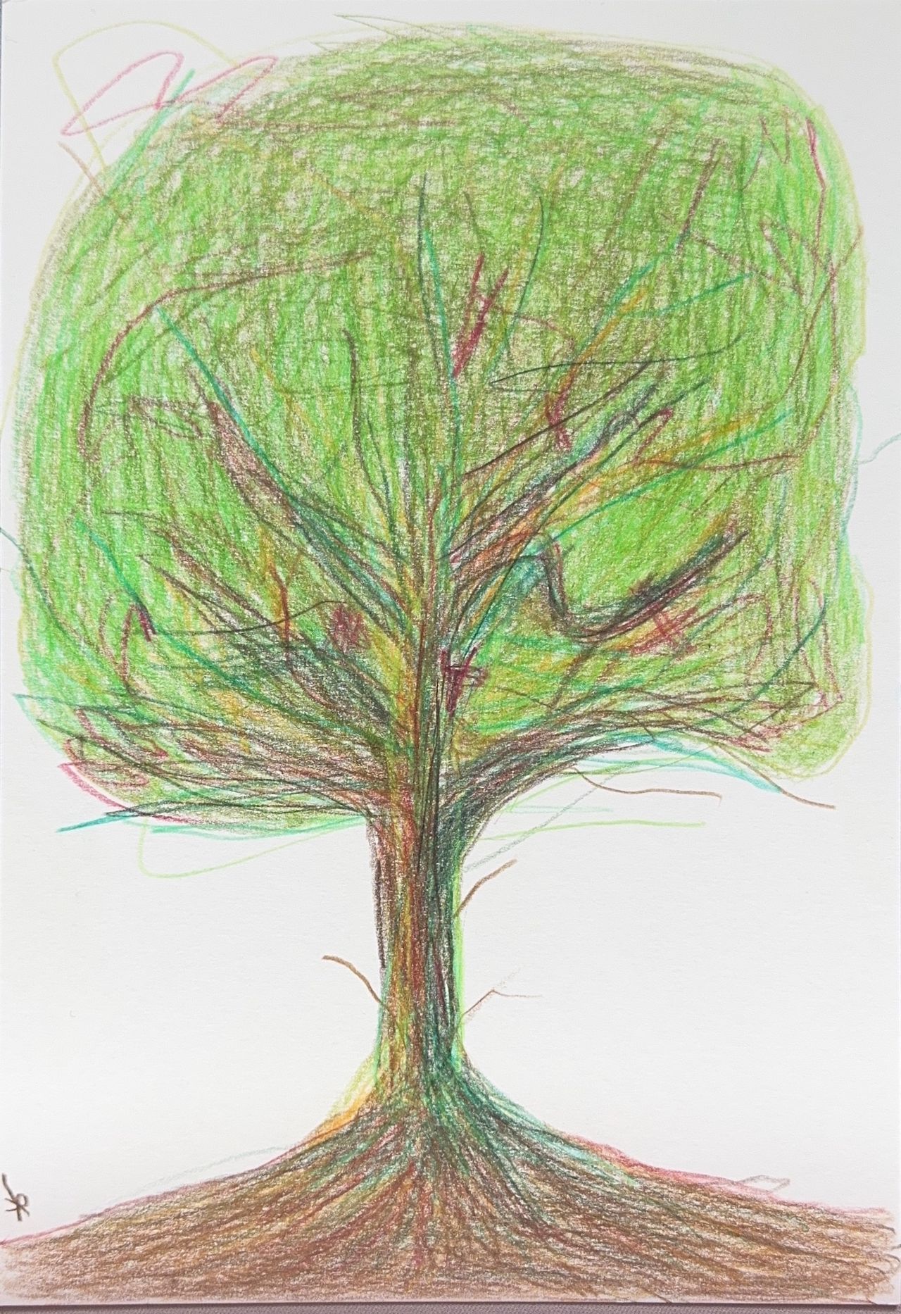 arbre.jpg