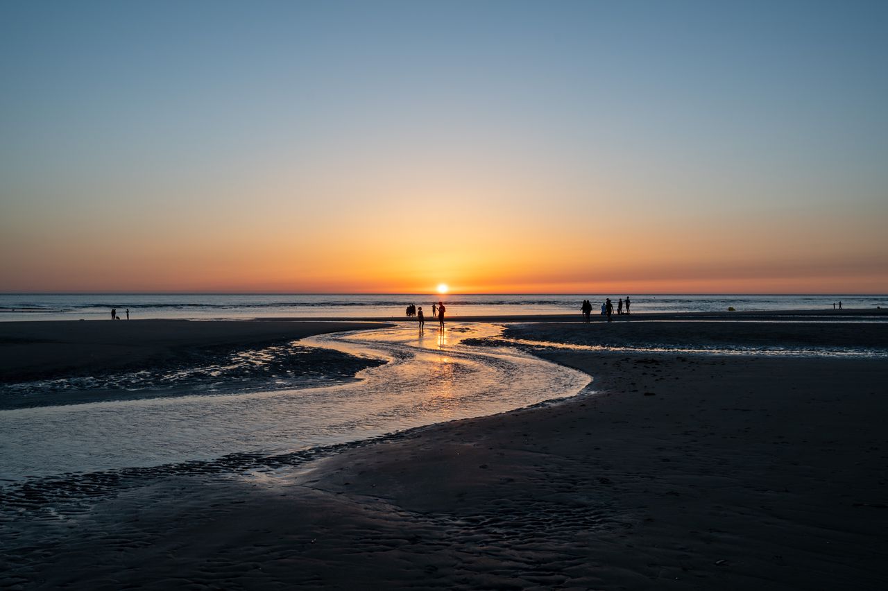 dsc5038.jpg
