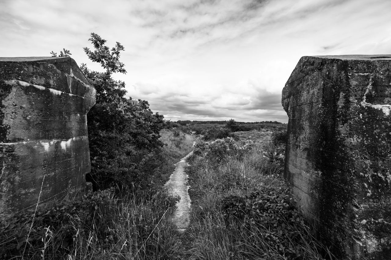 dsc5898.jpg