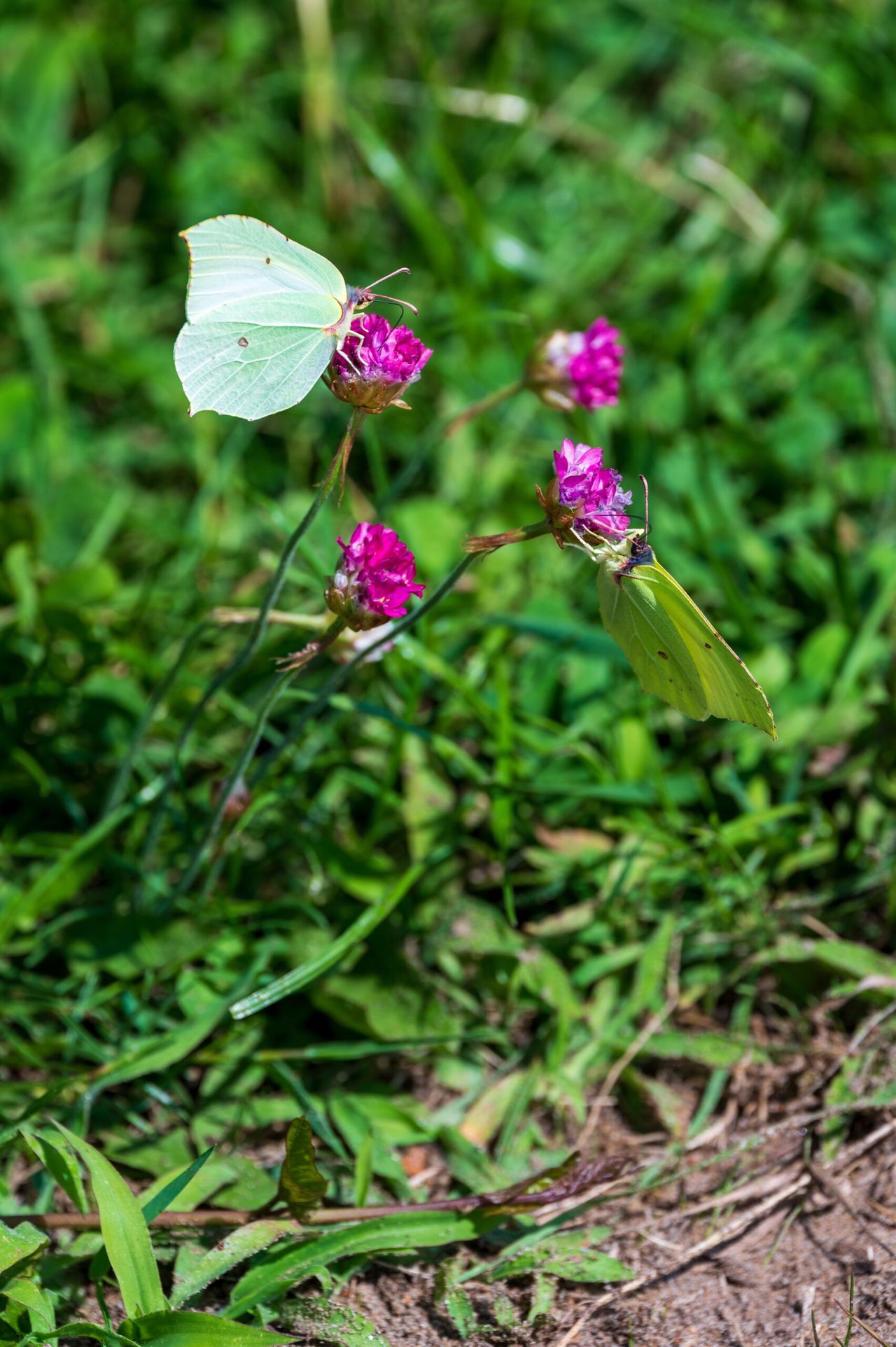 dsc0440-scaled.jpg